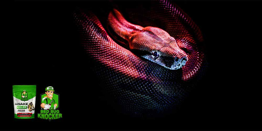Kāds ir visapmierinošākais čūsku atgrūdošais līdzeklis?